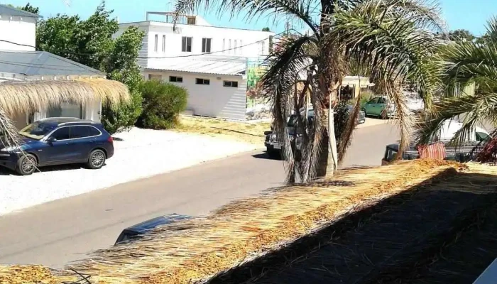 Marea -  Todas - Faro de José Ignacio