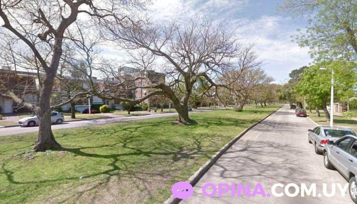 María José Scotti - Montevideo