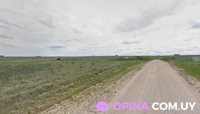 MaríaGrela - 94100 Palermo