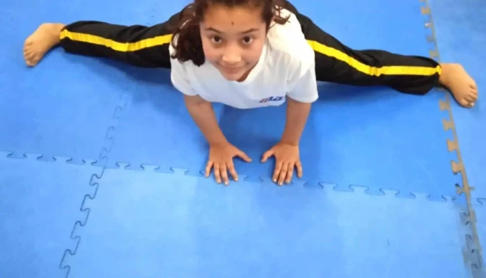 Mas -    Martial Arts Uruguay Del Propietario - Las Piedras