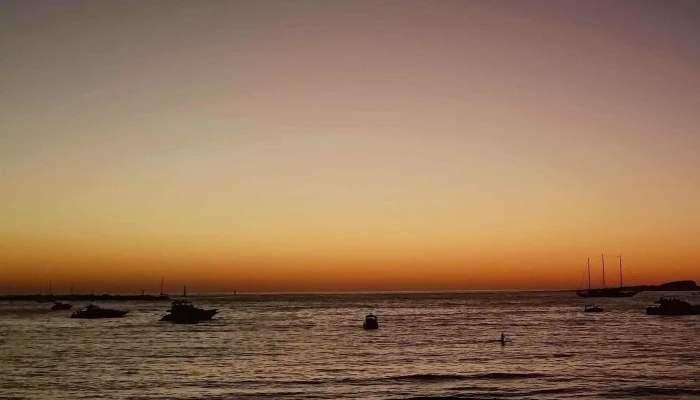 Mas Te Por Favor Comentario 6 - Punta del Este