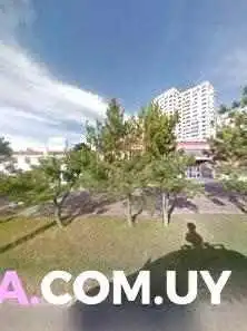 Mas Te Por Favor Street View Y 360 - Punta del Este