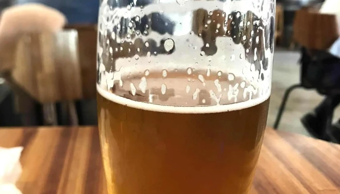 Mastra -  Comentario 3 - Montevideo