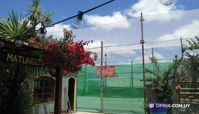 Matungo -  Todas - Sauce