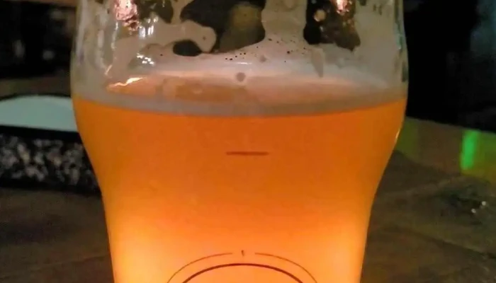 Matute -  Videos - Montevideo