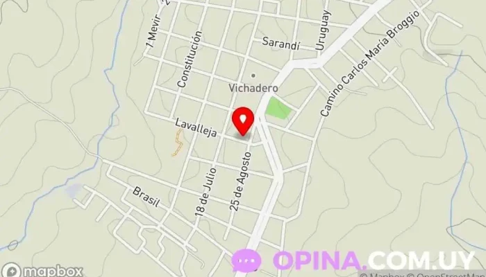 mapa de Mauro Feo Negocios Rurales Asesor en Vichadero