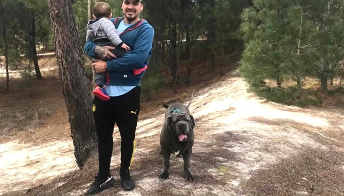 Mccafe Comentario 8 - Montevideo