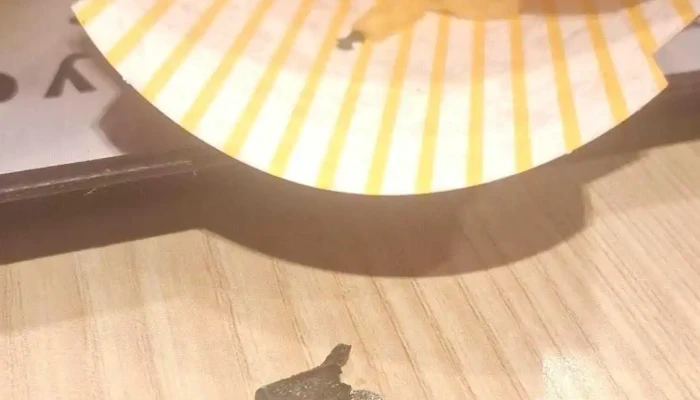 Mcdonalds Recientes - Montevideo