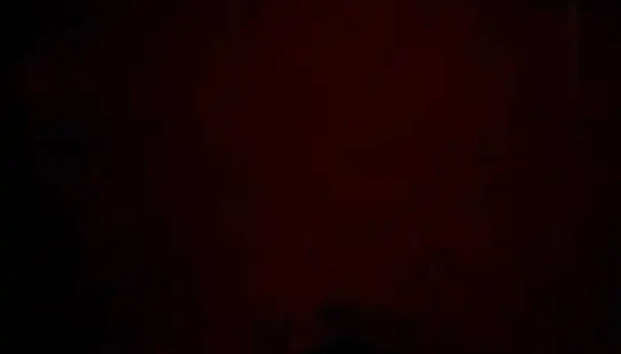 Mcdonalds Videos - Las Piedras