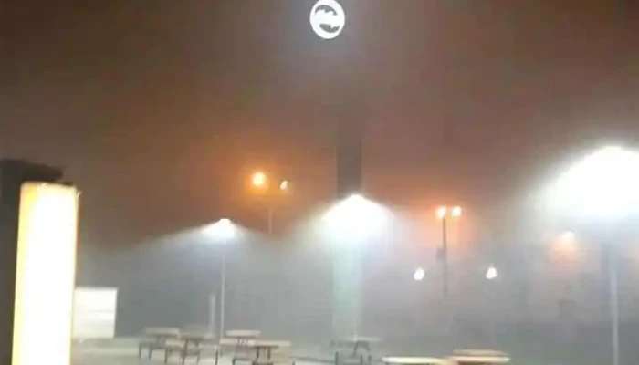 Mcdonalds Videos - Rivera