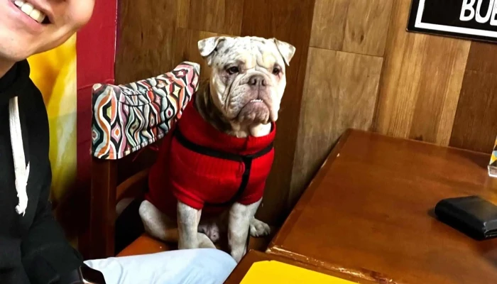 Medialunas Calentitas -  Comentario 2 - Montevideo