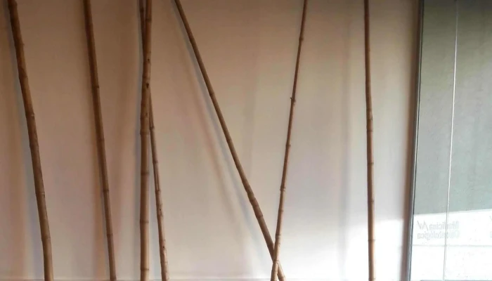 Medicina Odontologica Ucm Sitio Web - Montevideo