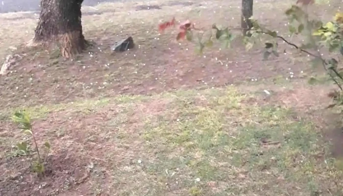 Menendez Bar -  Videos - Col. del Sacramento