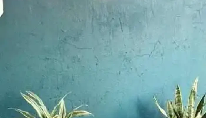 Menon   Antel Comunitario Del Propietario - Constitución