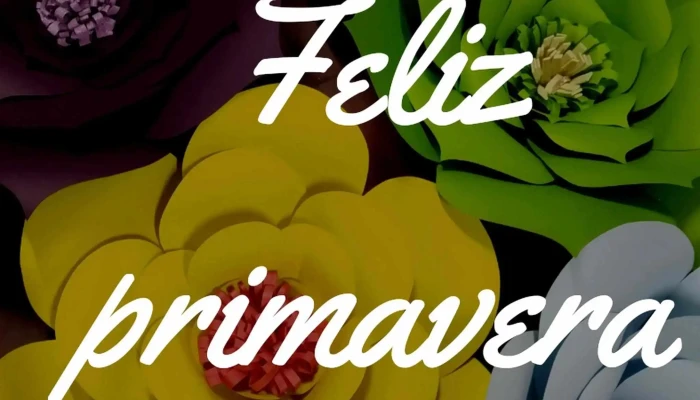 Menon   Antel Comunitario Videos - Constitución