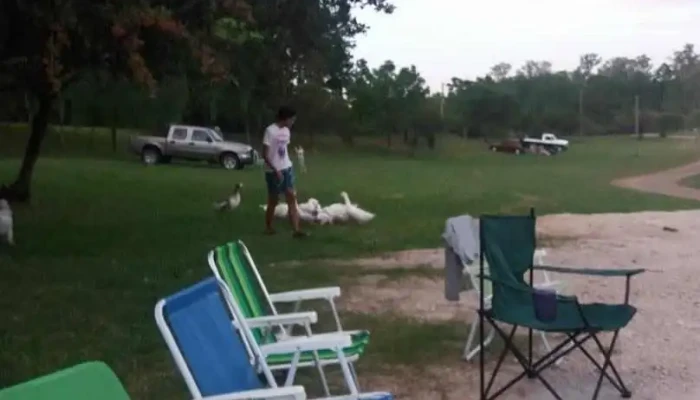 Meseta De Artigas Resto Ancap Chapicuy Ambiente - Chapicuy