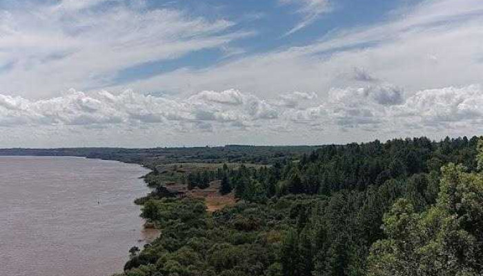 Meseta De Artigas Resto Ancap Chapicuy Mas Recientes - Chapicuy