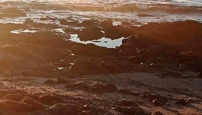 Mi Hogar -  Instagram - San Carlos