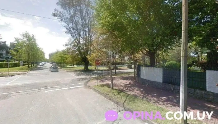 Mi Linda Piel - Montevideo