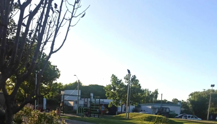 Mi Placita -  Comentario 5 - Cardona