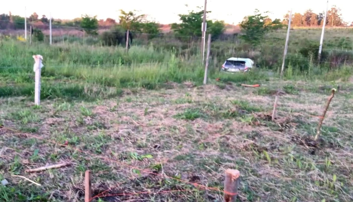 Mi Sueno Opiniones - Montevideo