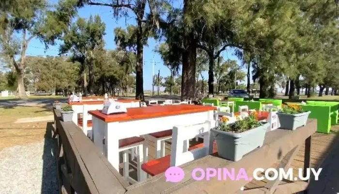 Mi Viejo Aro -  Del Propietario - Col. del Sacramento