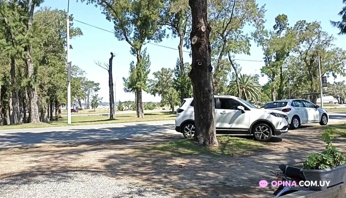 Mi Viejo Aro -  Videos - Col. del Sacramento