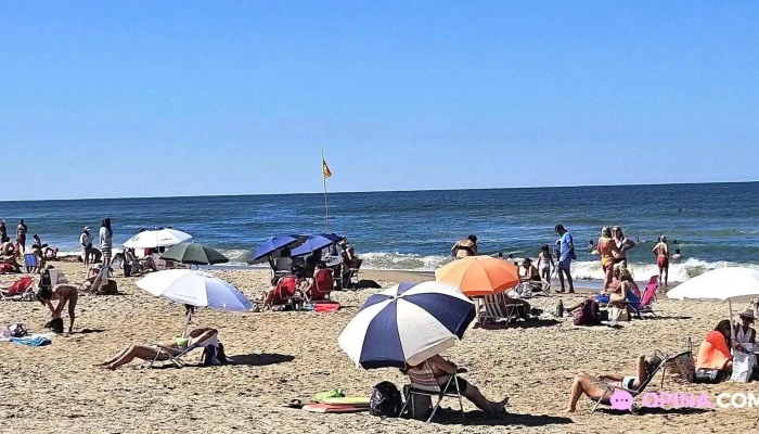 Mia Bistro Mas Recientes - Punta del Este