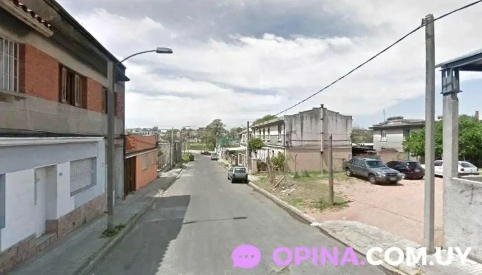 Miel la Cachela - 11900 Montevideo