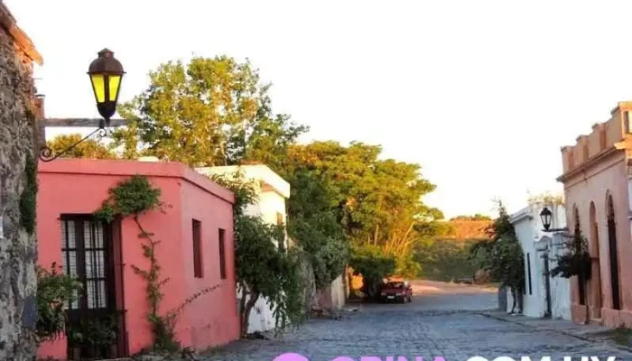 Mignone Negocios Inmobiliarios -  Cerca De Mi - Col. del Sacramento