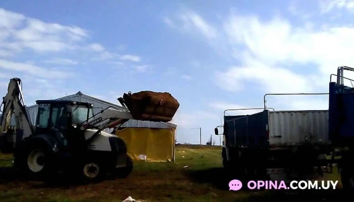 Migues -  Videos - Migues