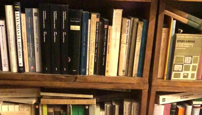 Minerva Cafe Comentario 4 - Montevideo