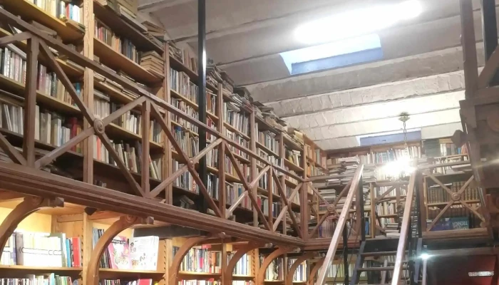 Minerva Cafe Comentario 5 - Montevideo