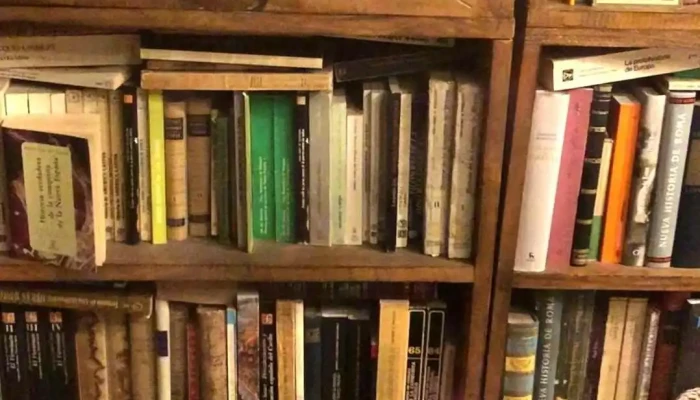 Minerva Cafe Videos - Montevideo