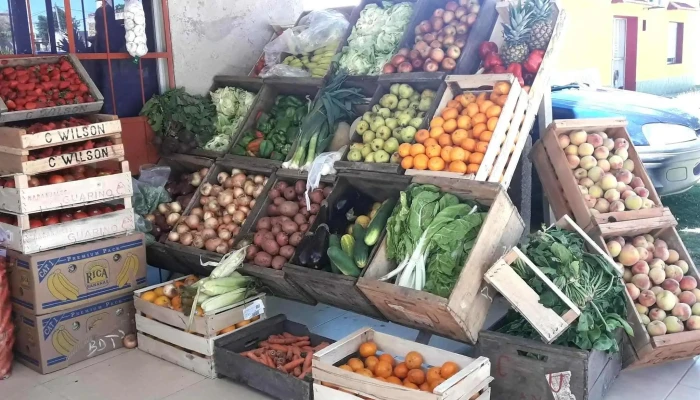 Mini 13 -  Todo - Sarand&iacute; del Y&iacute;