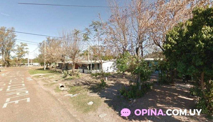 Minigril " la sole" - Salto