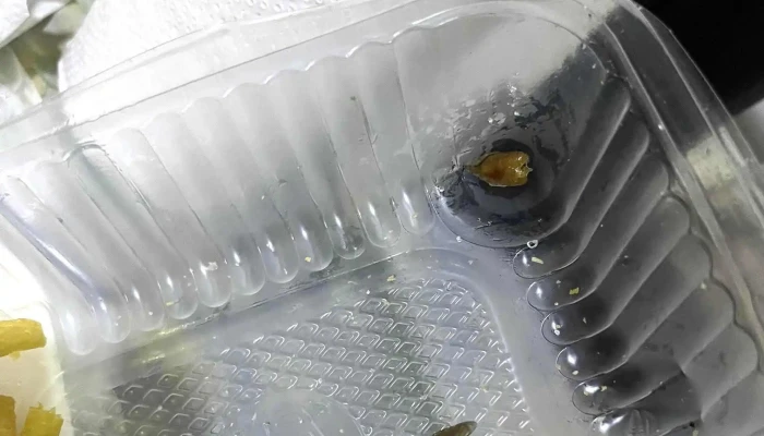 Minigrill Express Comentario 3 - Salto