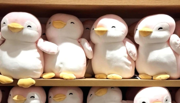 Miniso -  Ubicacion - Montevideo