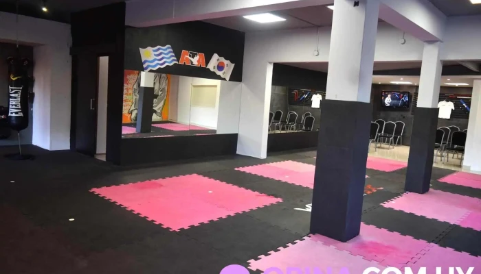 Mirae Artes Marciales -  Del Propietario - Ciudad de la Costa