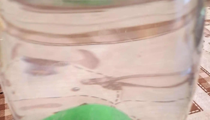 Mis Petates - Montevideo