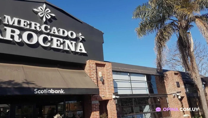 Miss Shawarma -  Todas - Montevideo