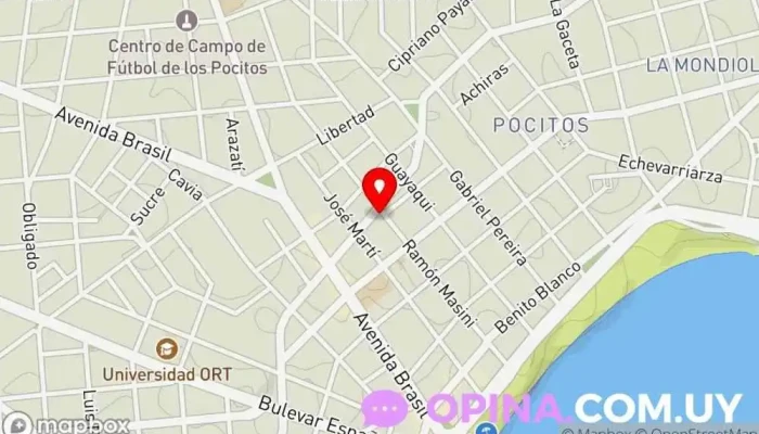 mapa de MJE María Jesús Etcheverry Agentes inmobiliarios en Montevideo