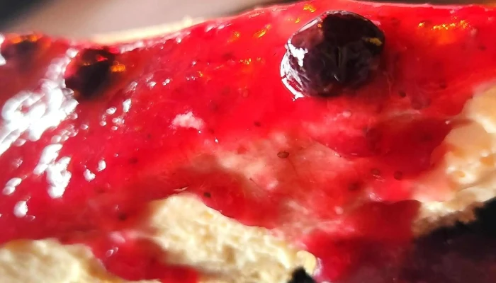 Mob Garden -  Comentario 4 - Montevideo