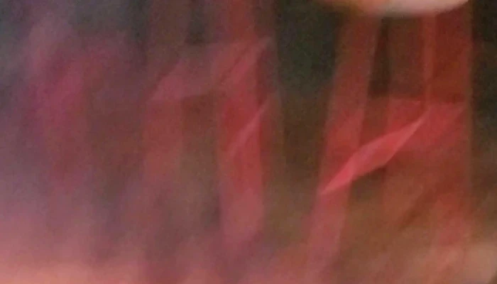 Mob Garden -  Comentario 7 - Montevideo