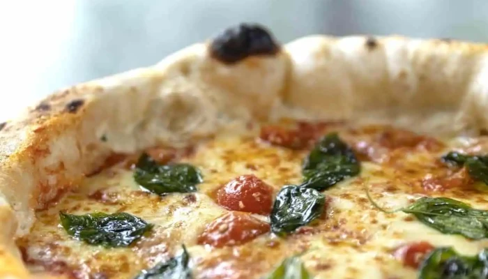 Molona -  Todo - Atlántida