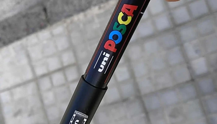 Mona Pancha - Montevideo