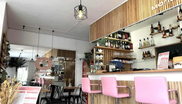 Monas -  Todo - Punta del Este