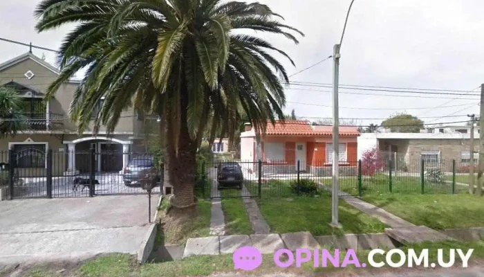 Monito - Ciudad De La Costa