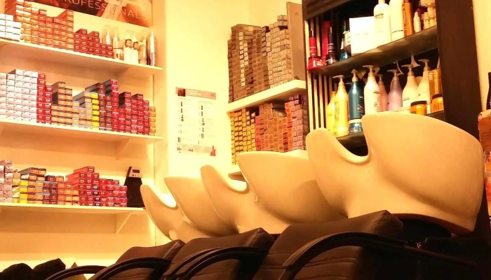 Monroe estilista - 11700 Montevideo