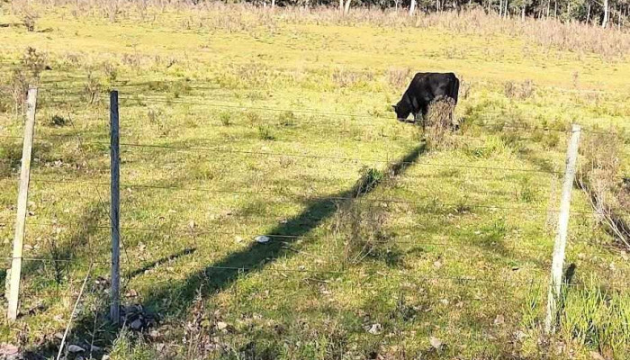 Montes -  Todo - Montes